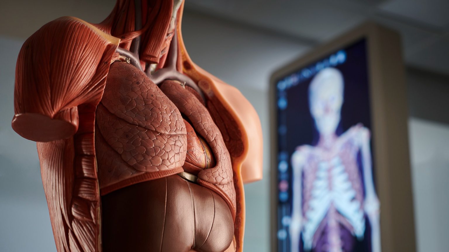 medicine subject image